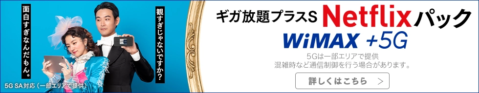 ギガ放題プラス Netflixパック