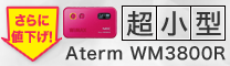 さらに値下げ! 「超小型」 Aterm WM3800R