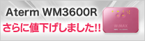 Aterm WM3600R 好評発売中!