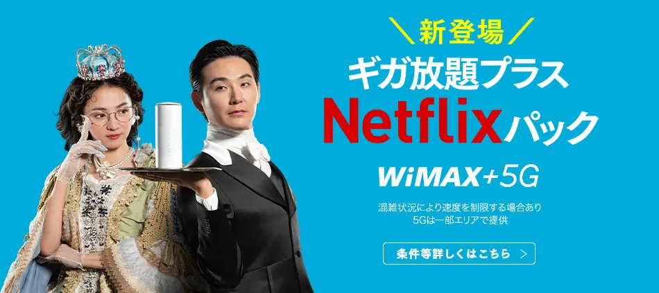 ギガ放題プラス Netflixパック