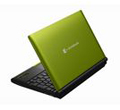 dynabook N300