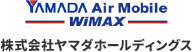 株式会社ヤマダホールディングス