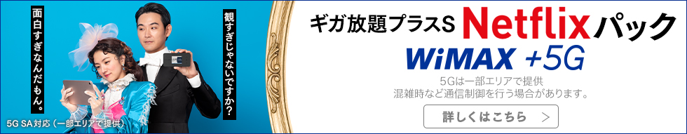 ギガ放題プラスS Netflixパック WiMAX +5G