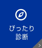 ぴったり診断