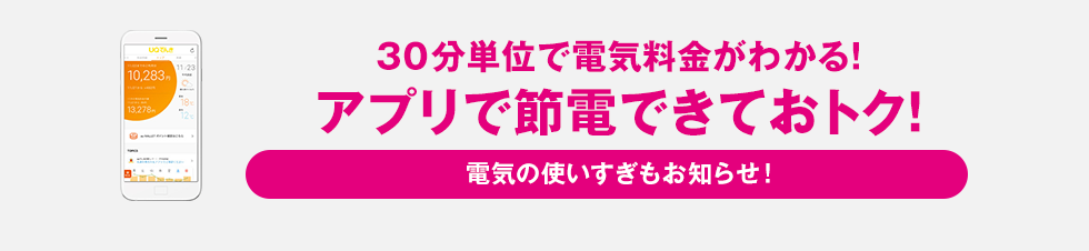 30分単位で電気料金がわかる！アプリで節電できておトク！電気の使いすぎもお知らせ！