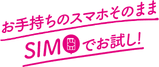 お手持ちのスマホそのままSIMでお試し!