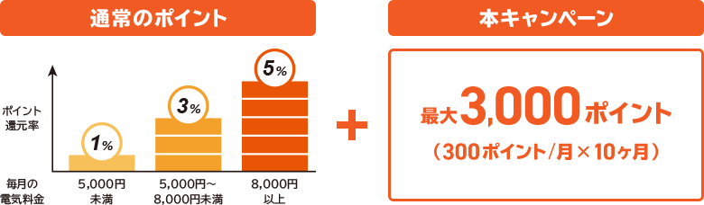 通常のポイント 5,000円未満：1% 5,000円～8,000円未満：3% 8,000円以上：5% ＋本キャンペーン 最大3,000ポイント（300ポイント/月×10ヶ月）