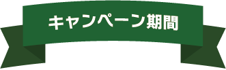 キャンペーン期間