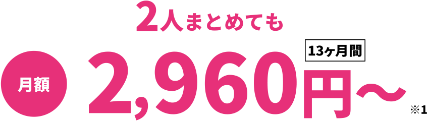 2人まとめても月額2,960円~〈13ヶ月間〉※1