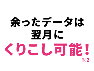 余ったデータは翌月にくりこし可能！※2