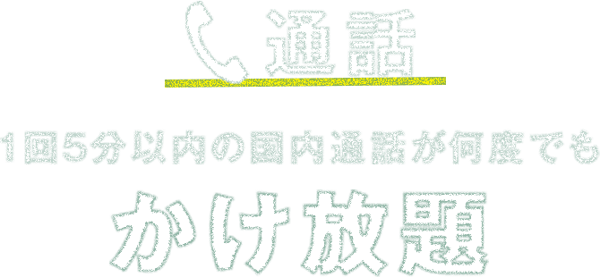 通話 1回5分以内の国内通話が何度でもかけ放題