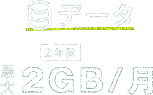 データ 最大 ２年間 2GB/月