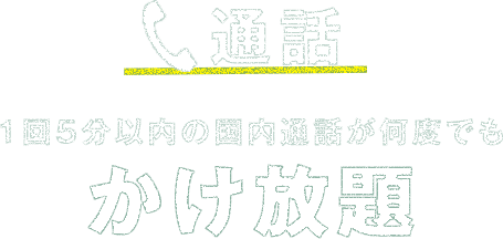 通話 1回5分以内の国内通話が何度でもかけ放題