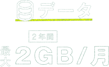 データ 最大 ２年間 2GB/月