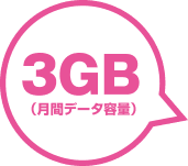 〈3GB(月間データ容量)〉