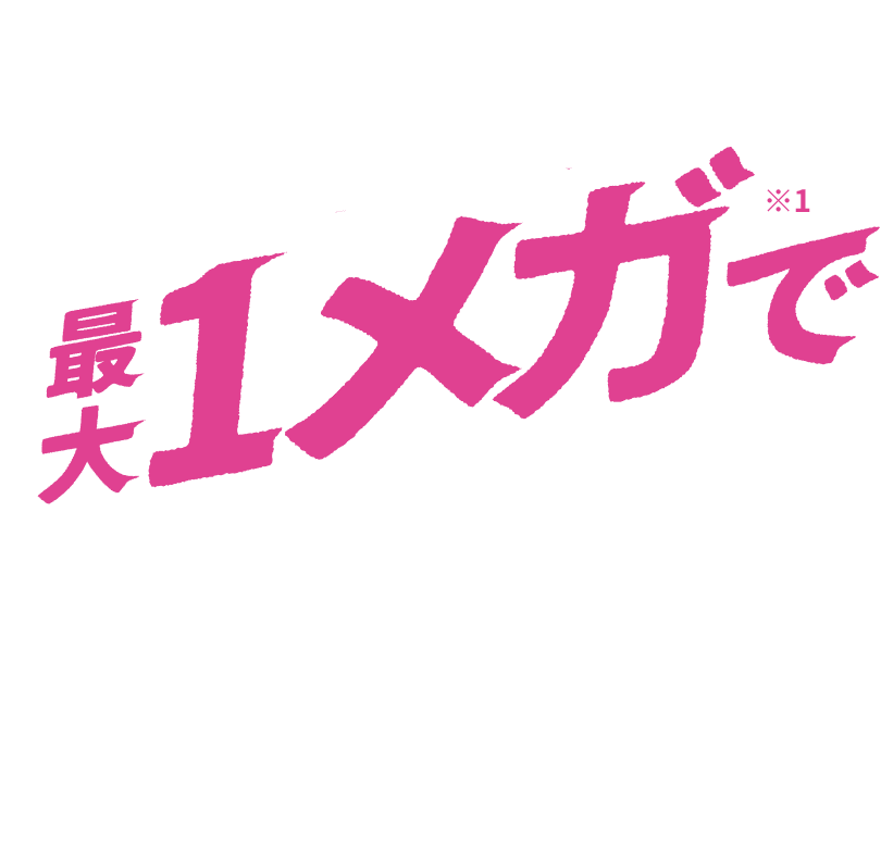 最大1メガ※1で