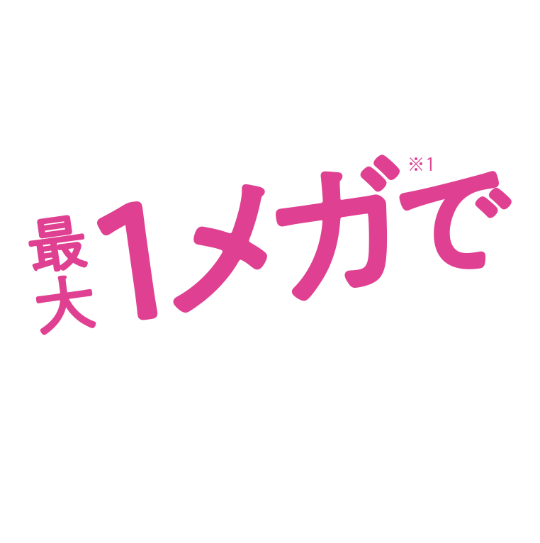 最大1メガ※1で