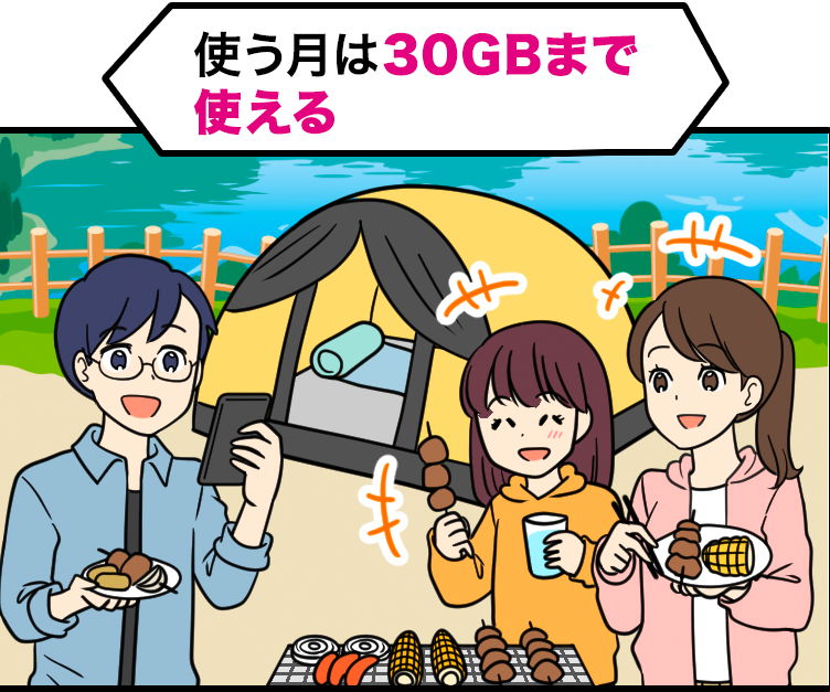 使う月は30GBまで使える