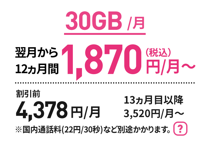 30GB/月 翌月から12ヵ月間 1,870円(税込)/月～　割引前4,378円/月　13ヵ月目以降3,520円/月～ ※国内通話料(22円/30秒)など別途かかります。