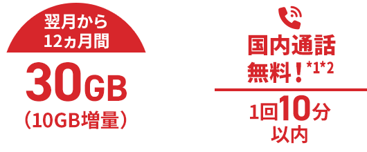 翌月から12ヵ月間30GB（10GB増量）＋国内通話無料！*1*2 1回10分以内