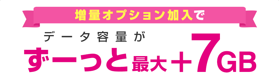 データ 増量 オプション