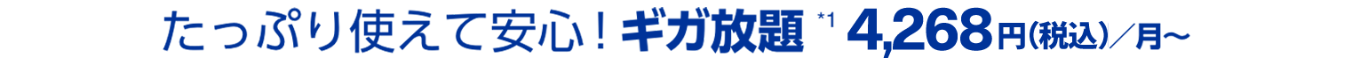 たっぷり使えて安心！ ギガ放題 ずーっと4,268円（税込）/月〜）