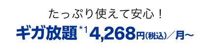たっぷり使えて安心！ ギガ放題 ずーっと4,268円（税込）/月〜）