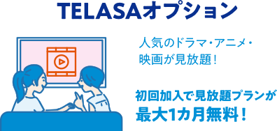 TELASAオプション